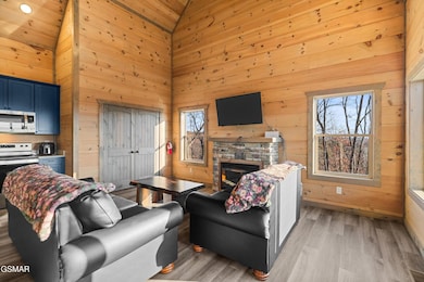 2232 Pinnacle Ridge Trail, Sevierville, TN 37876 - photo 6