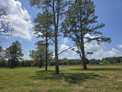 4869 Kedron Rd, Spring Hill, TN 37174 - photo 4