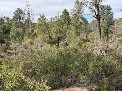 700 N Tyler Pkwy, Payson, AZ 85541 - photo 7