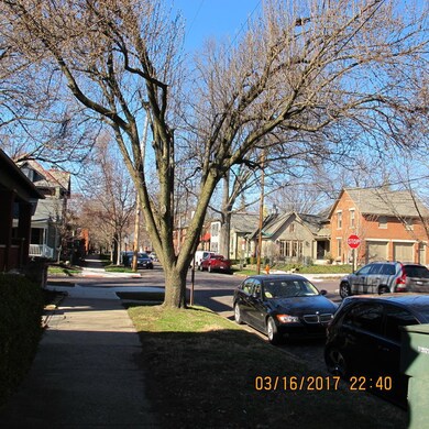 View from the Street