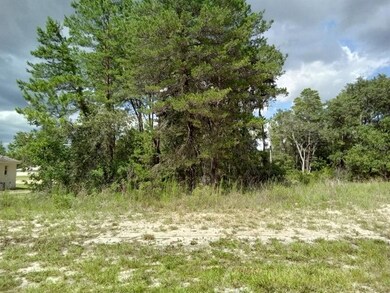 0 SW 173rd Place Rd unit 6 O6052932, Ocala, FL 34473 - photo 2