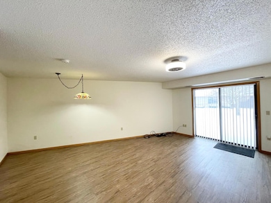 401 S County Road 5 unit 112, Springfield, MN 56087 - photo 5