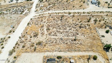 0 De la Rosa Rd unit 25005438, Pinon Hills, CA 92372 - photo 5