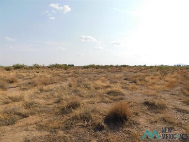 0 Earl Scott Trail SW unit 20213932, Deming, NM 88030 - photo 3