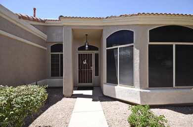 Bay Windows