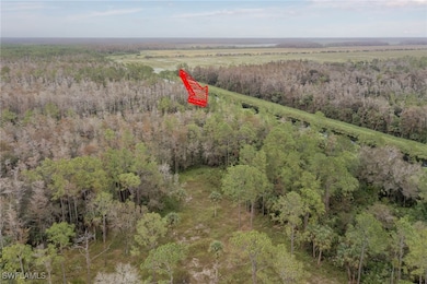 0 8th Ave SE unit 225035862, Naples, FL 34117 - photo 5