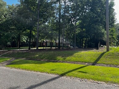 Street view from Jimshill Road