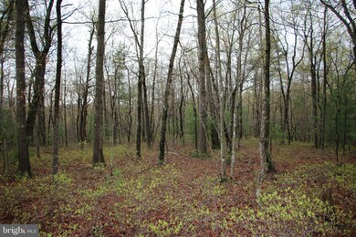 0 Jerome Rd unit VASH2001484, Mount Jackson, VA 22842 - photo 5