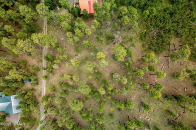 16 N1062, Greer, AZ 85927 - photo 5