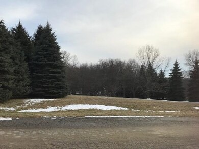 0 W Wilmens Trail, La Porte, IN 46350 - photo 3