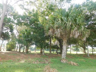 lots are next to this park!