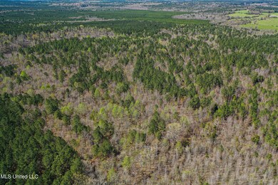 DJI_0642 (1)