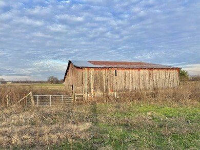 10541 Smiths Grove- Scottsville Rd, Oakland, KY 42159 - photo 4