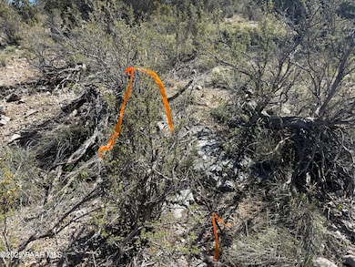 33367 Hora Ln, Seligman, AZ 86337 - photo 5