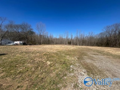 4277 Hobbs Island Rd, Owens Cross Roads, AL 35763 - photo 3