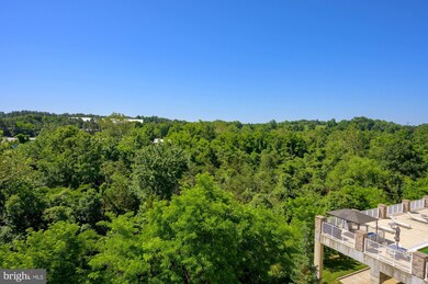 The Isabella At Monticello Mews unit 419, Alexandria, VA 22312 - photo 5