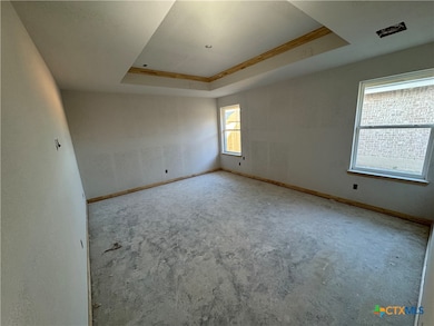 2564 Cowgirl Trail, Belton, TX 76513 - photo 5