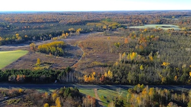 0 School House Rd, Wittenberg, WI 54499 - photo 3