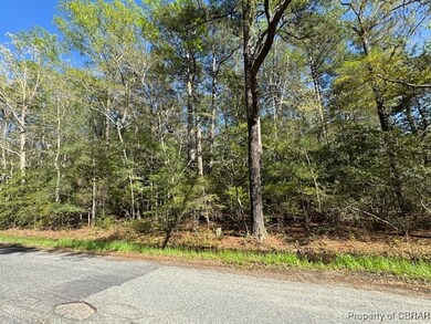 2.67 AC Godfrey Bay Rd, Cobbs Creek, VA 23035 - photo 6