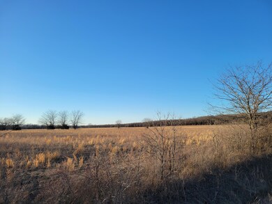 002 E 1550 Rd, Jerico Springs, MO 64756 - photo 5