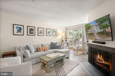 12116 Greenway Ct unit 202, Fairfax, VA 22033 - photo 5