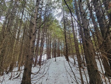 N1064 S. Boundary Rd. St. Ignace, Michig