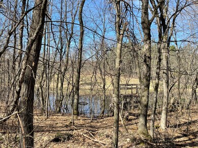 What a Great Place to Duck Hunt!