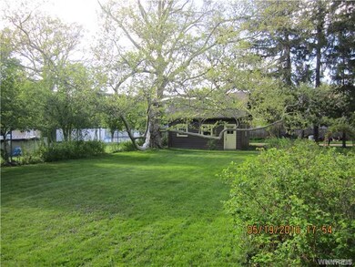 Backyard.