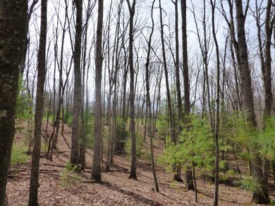 343 Far Country Dr unit 8, Daniels, WV 25832 - photo 4