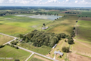 Tbd Wilson Rd, Maurice, LA 70555 - photo 4