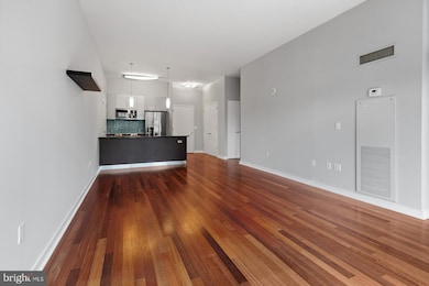 The Murano Condominium unit 305, Philadelphia, PA 19103 - photo 5