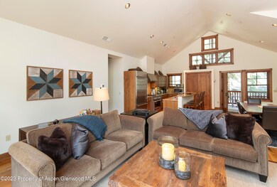 507 W Main St unit C201, Aspen, CO 81611 - photo 5