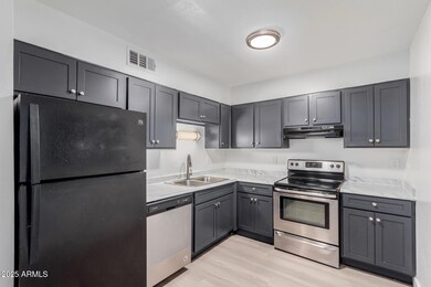 1107 E University Dr unit 115, Mesa, AZ 85203 - photo 4