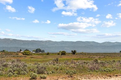 Looking East