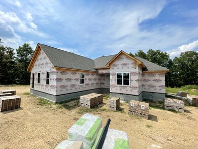 249 Saddlebrook Dr, Hohenwald, TN 38462 - photo 3