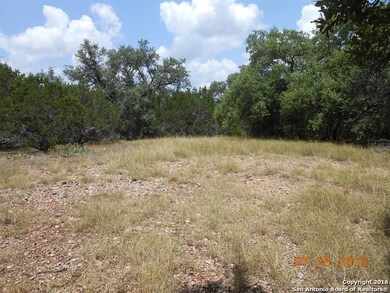 6145 County Road 251, Hondo, TX 78861 - photo 4