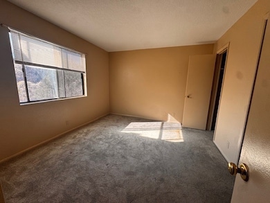 941 Calle Mejia unit 108, Santa Fe, NM 87501 - photo 4