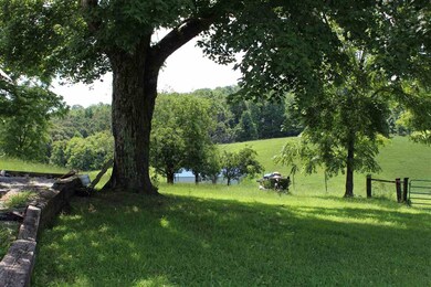 Parcel 40 Odom Rd, Rutledge, TN 37861 - photo 4