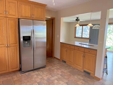 17279 740th Ave, Albert Lea, MN 56007 - photo 7