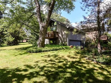 Yard/Garden.