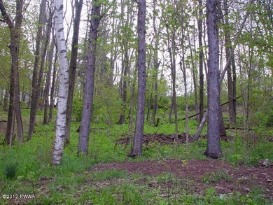 167 Cottage Ave, Honesdale, PA 18431 - photo 7