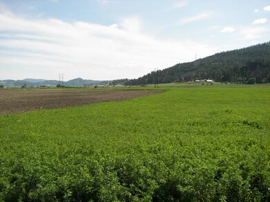 000 Schmidlekofer Rd, Chewelah, WA 99109 - photo 4