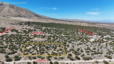 E 02. DJI_20250323122234_0092_D