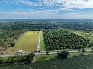 7051 Antioch Rd, Adel, GA 31620 - photo 2