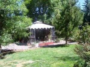 4508 Wild Stallion Lawn - Gazebo