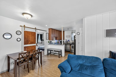 43-print-042_P1047342