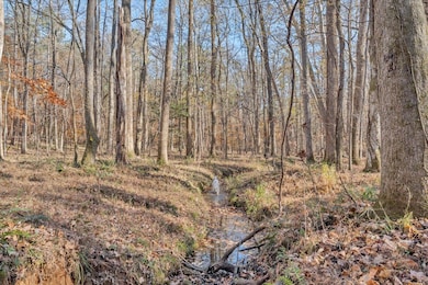 5050 Falkland Rd, Scottsburg, VA 24589 - photo 2