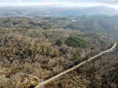 Drone / aerial view featuring a view of trees and 