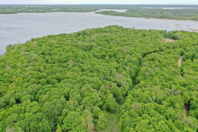 0 Tbd Ne Rock Lake Rd unit 24708708, Rochert, MN 56578 - photo 2