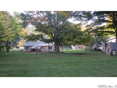 Backyard HUGE back yard with beautiful trees
